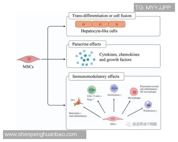 全球挑战赛分析：BLG选手个人能力的精彩表现与未来潜力探讨